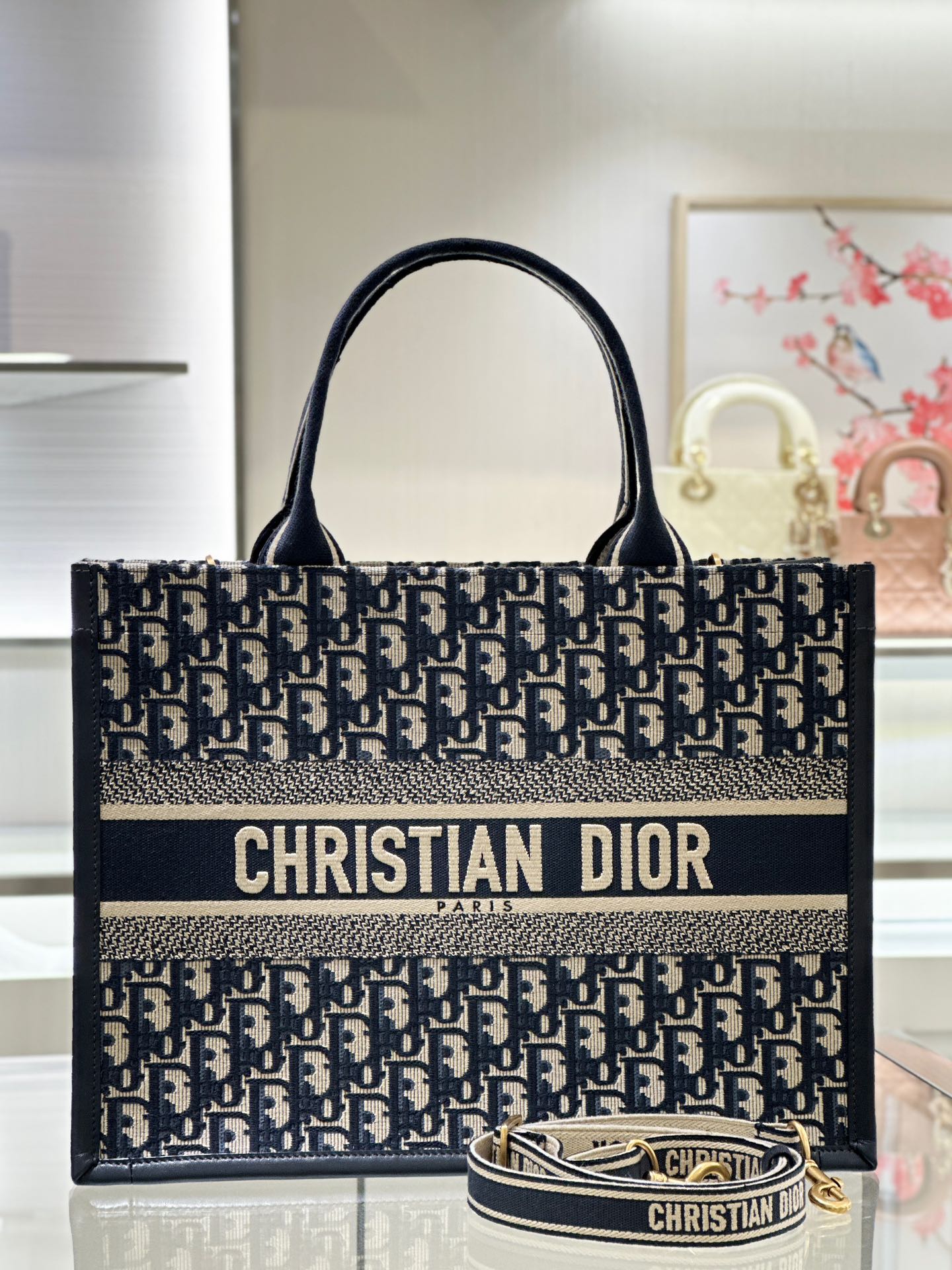 Túi Dior Tote Đựng Sách Cỡ Trung 