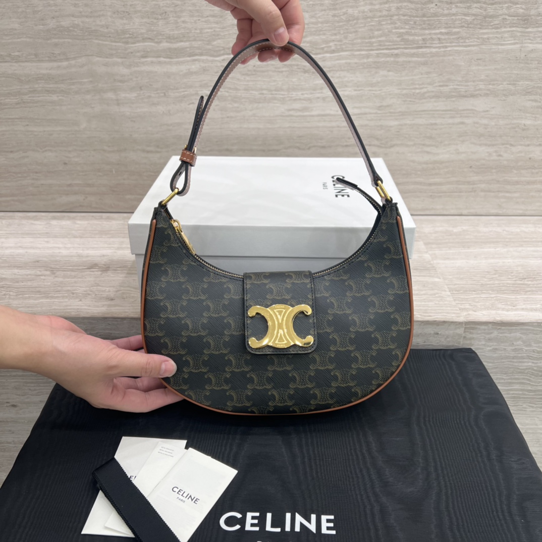 Túi Xách Celine AVA Triomphe 114493 Canvas
