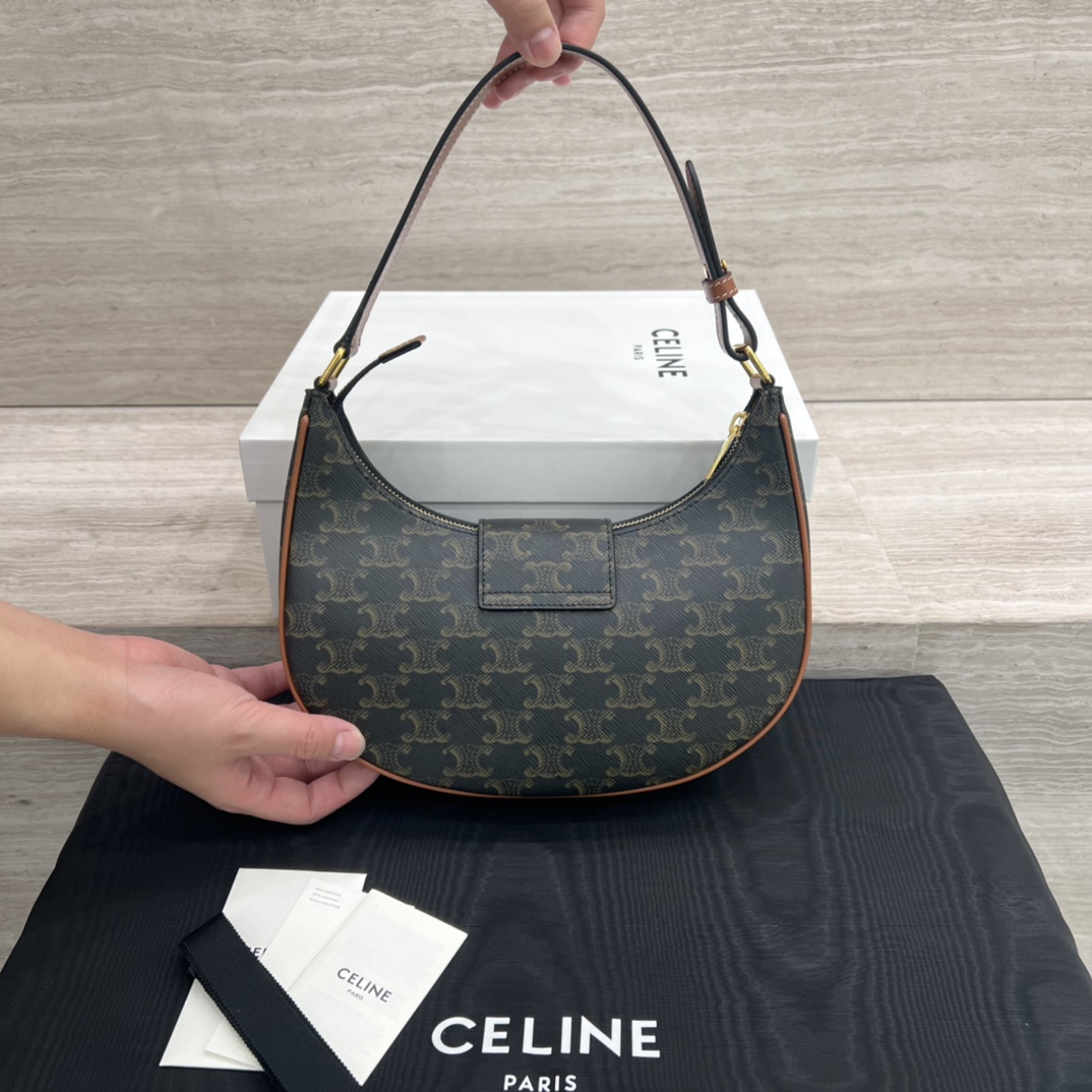 Túi Xách Celine AVA Triomphe 114493 Canvas