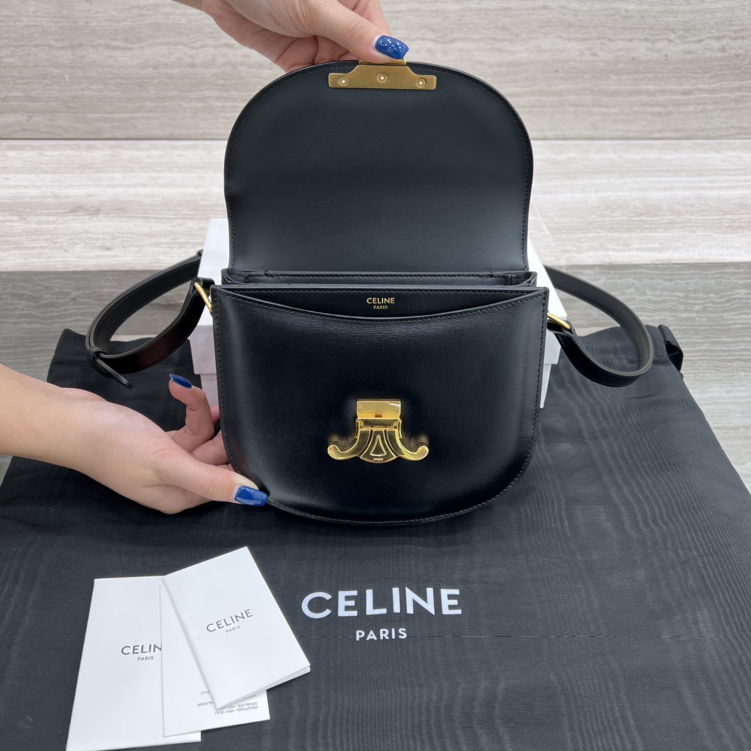 Túi Xách Celine Teen Besace Triomphe 110413 Màu Đen 