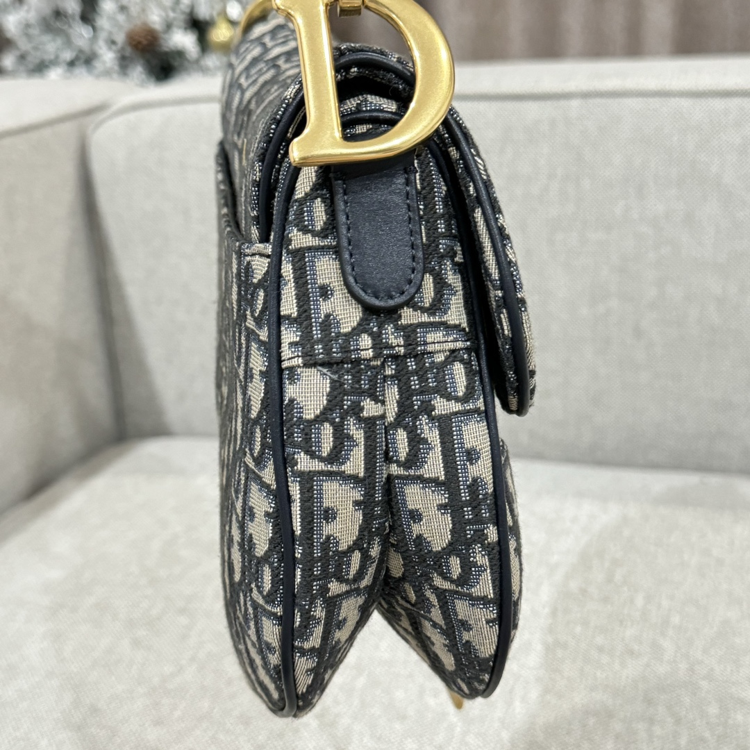 Túi Dior Sadle Nữ Vải Logo 